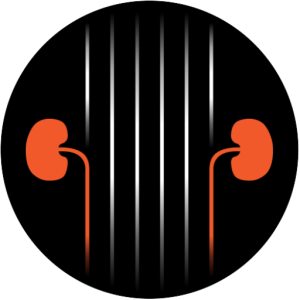 cropped-logo-badge-dark-500px.png